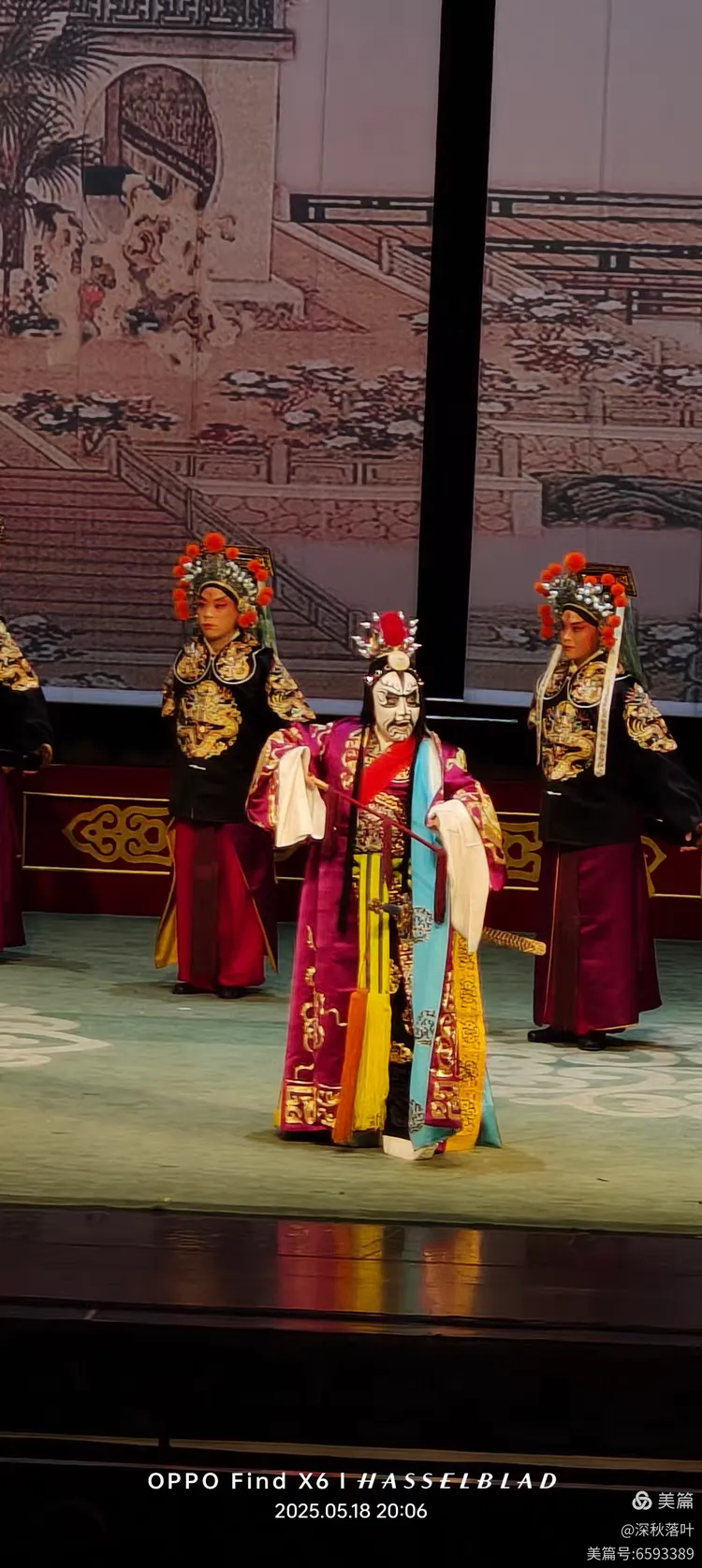 看剧《打金砖》，2025-5-18